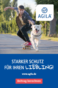 Zur Agila Tierversicherung für Hunde und Katzen